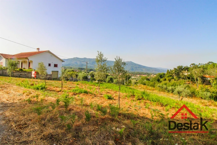 Terreno Agricola ou Rústico para Venda em Barreiro de Besteiros e Tourigo Foto 9