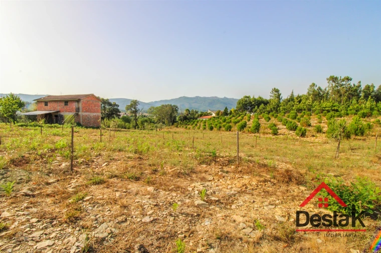 Terreno Agricola ou Rústico para Venda em Barreiro de Besteiros e Tourigo Foto 2