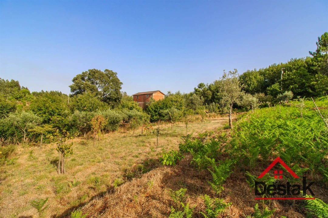Terreno Agricola ou Rústico para Venda em Barreiro de Besteiros e Tourigo Foto 12