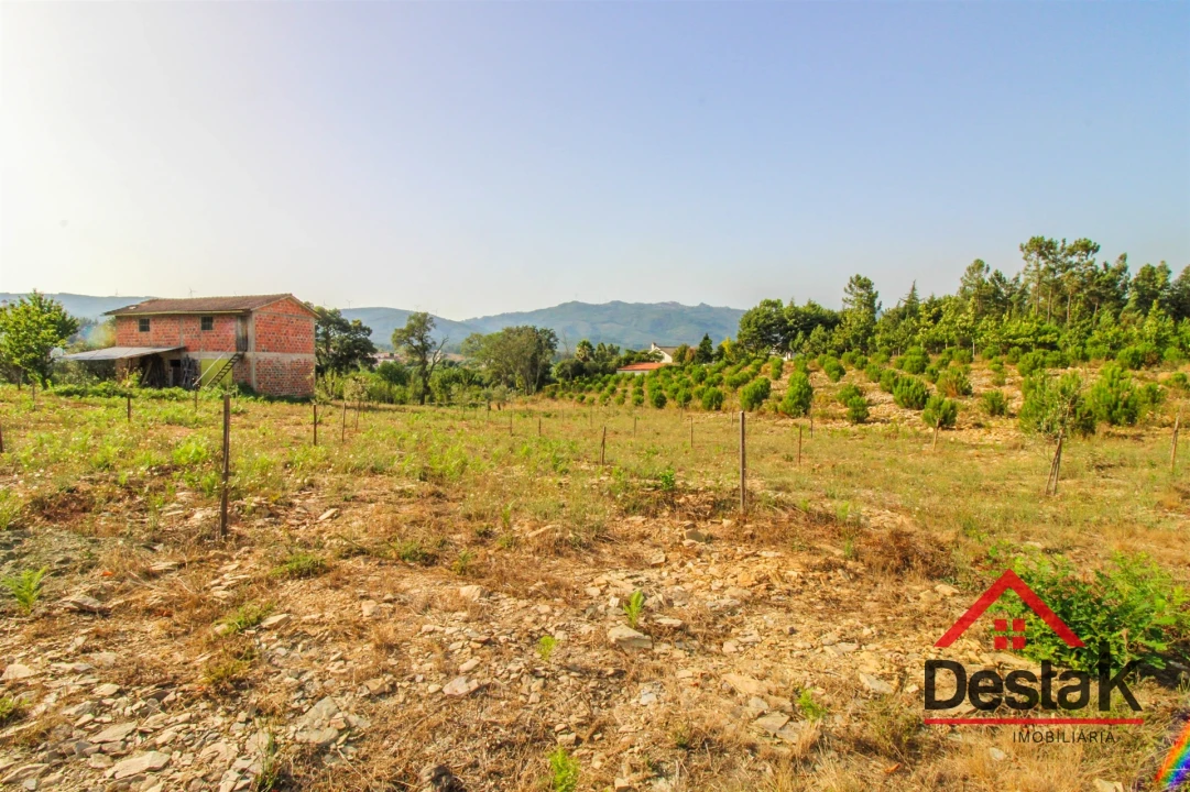 Terreno Agricola ou Rústico para Venda em Barreiro de Besteiros e Tourigo Foto 2