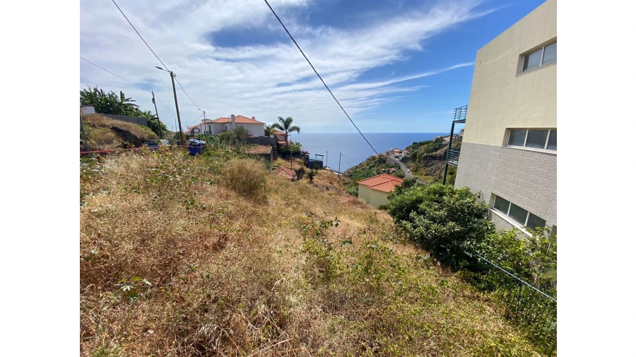 Terreno para Venda em Tabua Foto 4