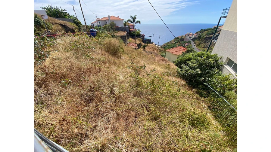 Terreno para Venda em Tabua Foto 2