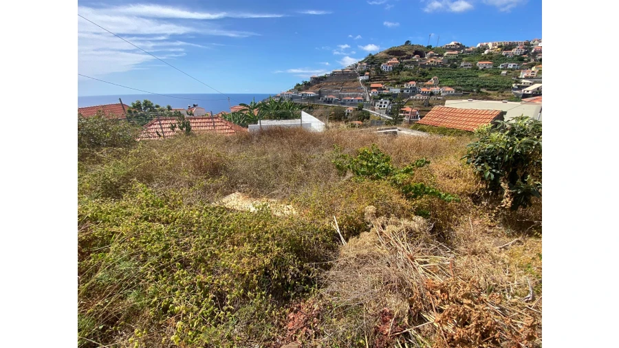 Terreno para Venda em Tabua