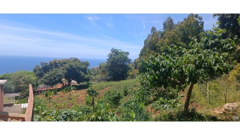 Terreno para Venda em Santo Antonio