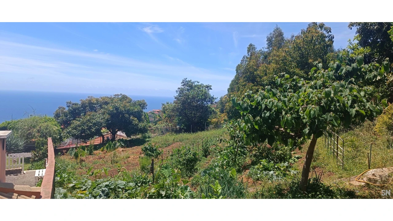 Terreno para Venda em Santo Antonio Foto 2