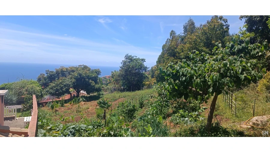 Terreno para Venda em Santo Antonio Foto 2