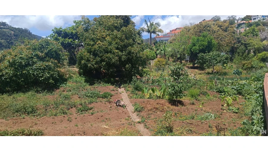 Terreno para Venda em Santo Antonio Foto 4