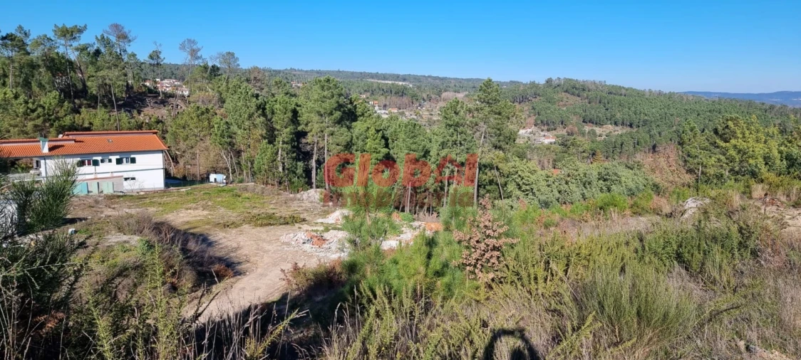 Terreno para Venda em Rio de Loba Foto 2
