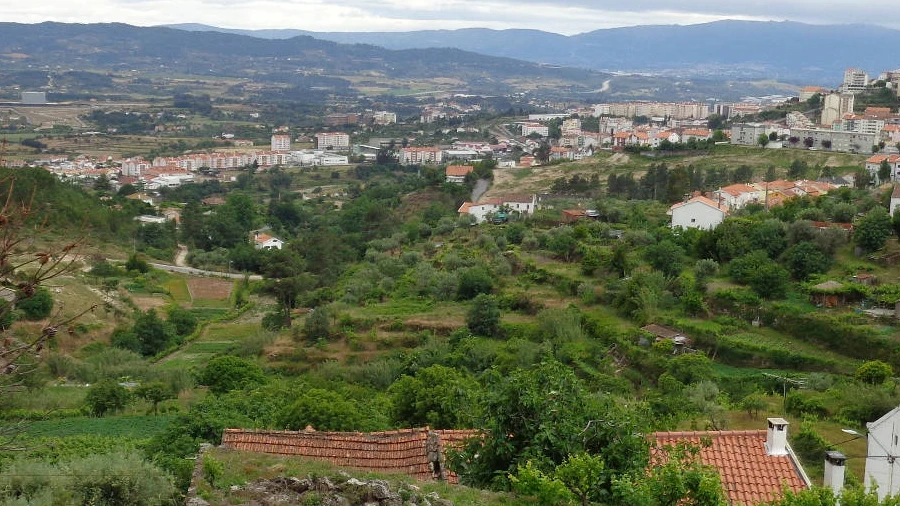 Terreno para Venda em Cantar-Galo e Vila do Carvalho