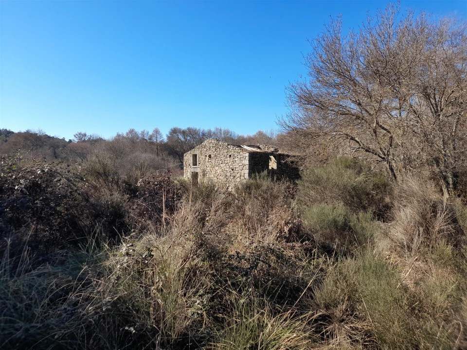Quinta T0 para Venda em Alcains Foto 2