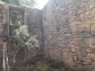 Quinta T0 para Venda em Alcains