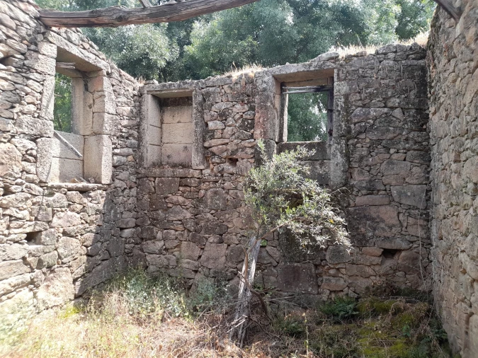 Quinta T0 para Venda em Alcains Foto 15