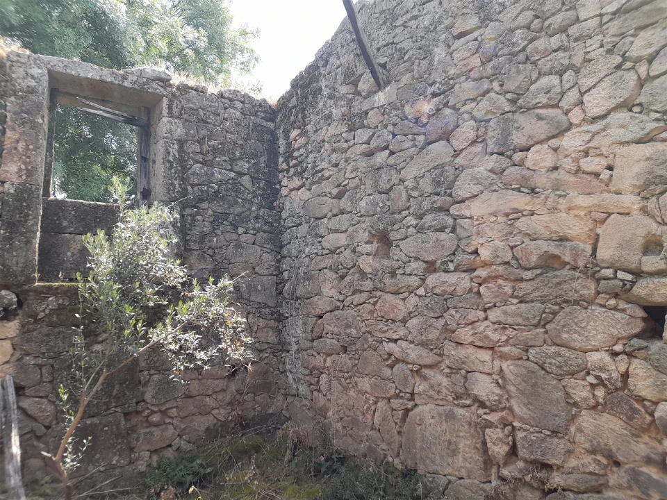 Quinta T0 para Venda em Alcains Foto 19