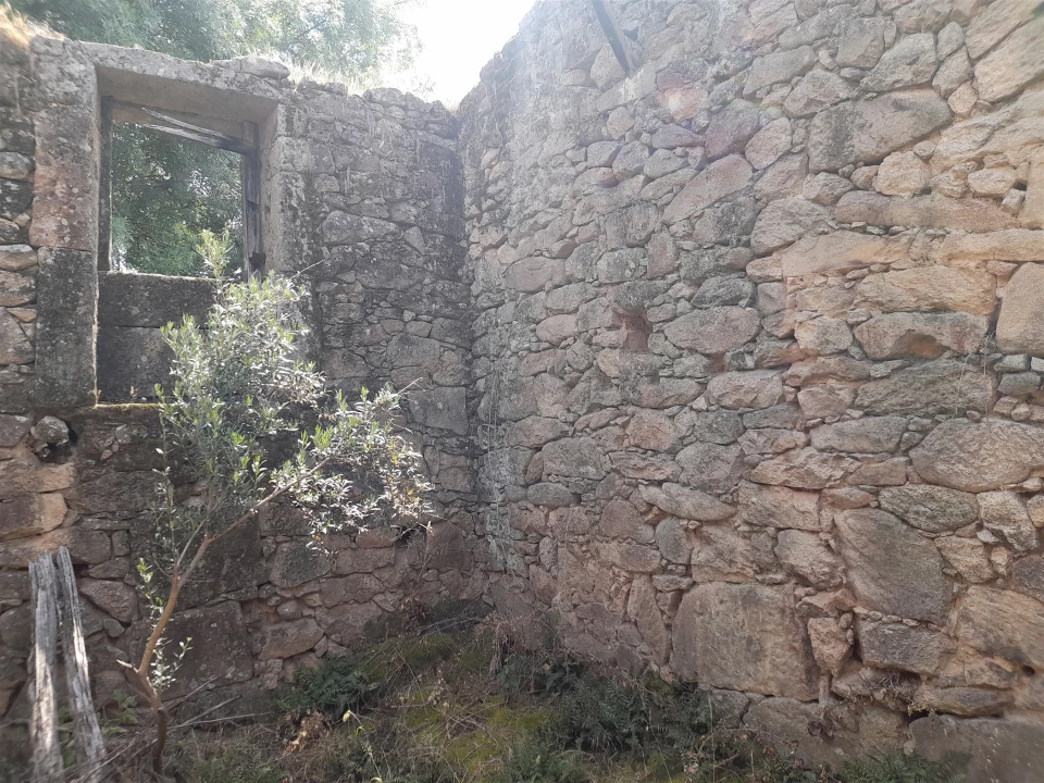 Quinta T0 para Venda em Alcains Foto 18