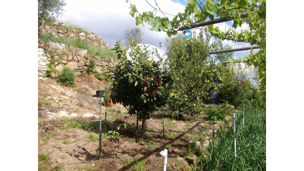 Moradia T4 para Venda em Longos Vales Foto 15