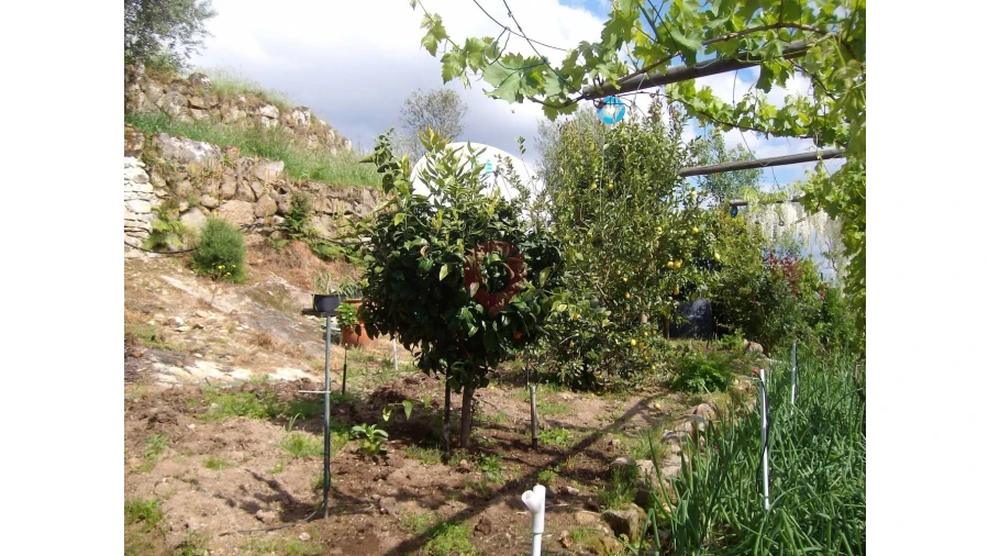 Moradia T4 para Venda em Longos Vales Foto 15