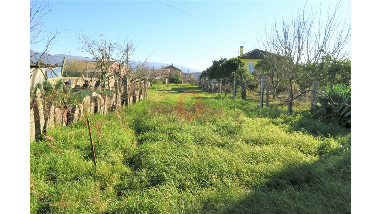 Moradia T3 para Venda em Mazedo e Cortes Foto 16