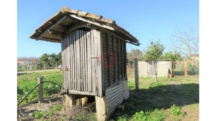 Moradia T3 para Venda em Mazedo e Cortes Foto 15