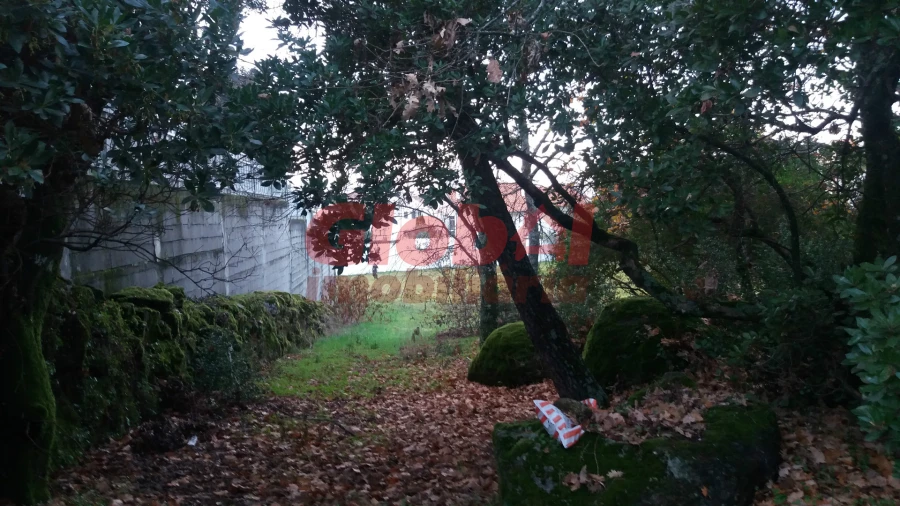 Terreno para Venda em Rio de Loba Foto 4