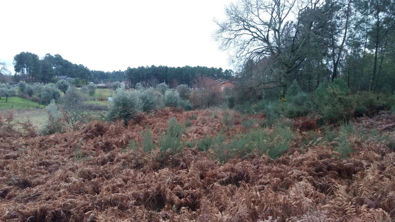 Terreno para Venda em Cavernães Foto 5