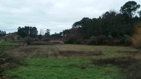 Terreno para Venda em Cavernães