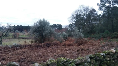 Terreno para Venda em Cavernães