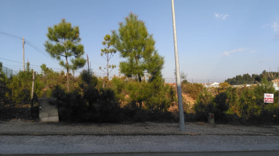 Terreno para Venda em Orgens Foto 7