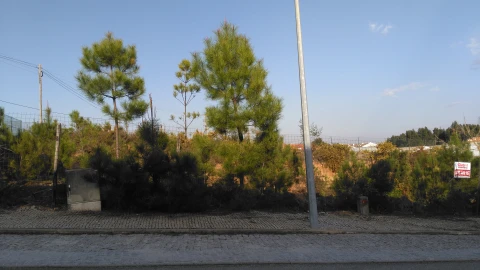 Terreno para Venda em Orgens