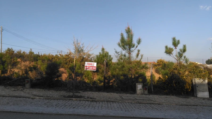 Terreno para Venda em Orgens Foto 8