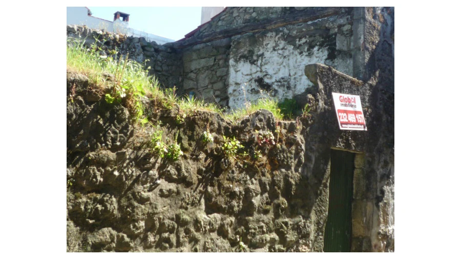 Moradia T0 para Venda em São Pedro de France Foto 1