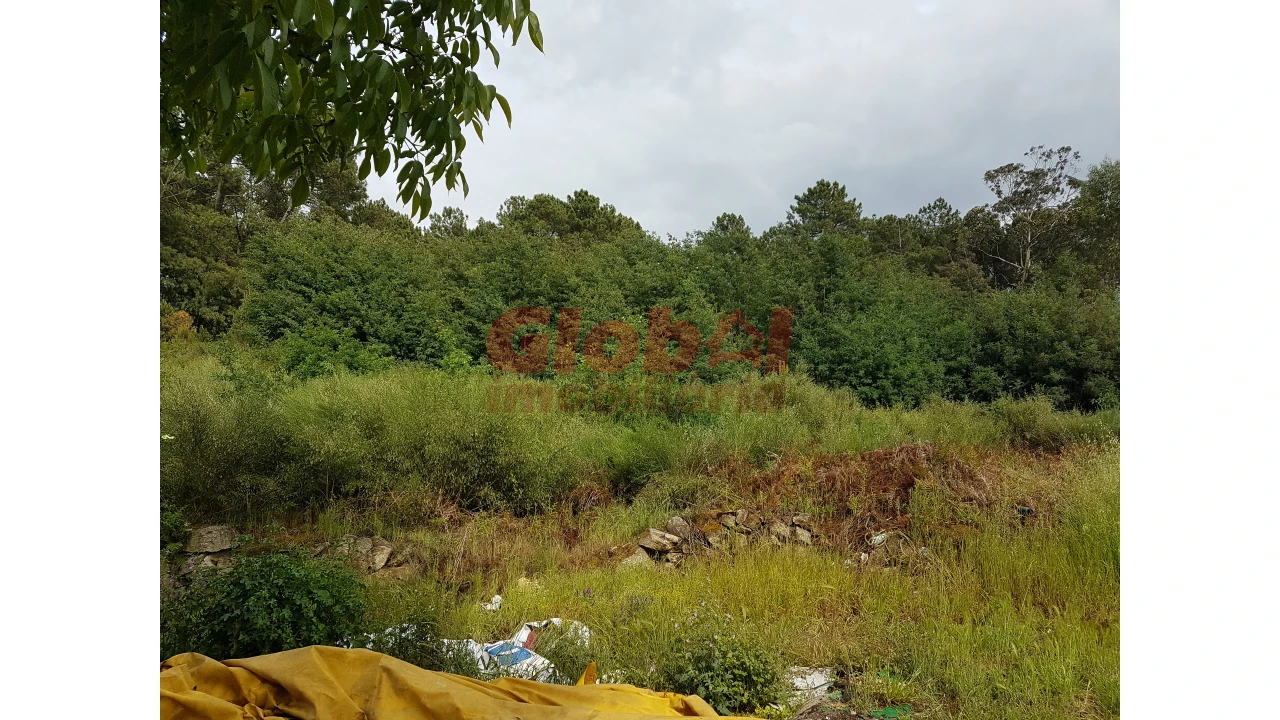 Terreno para Venda em Rio de Loba Foto 5
