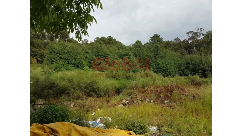 Terreno para Venda em Rio de Loba