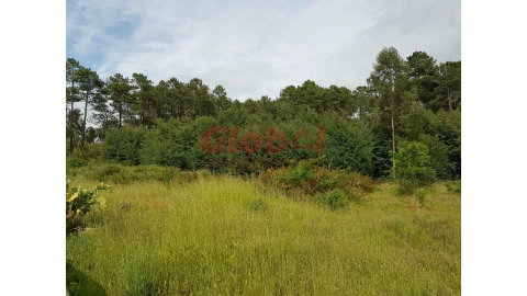 Terreno para Venda em Rio de Loba