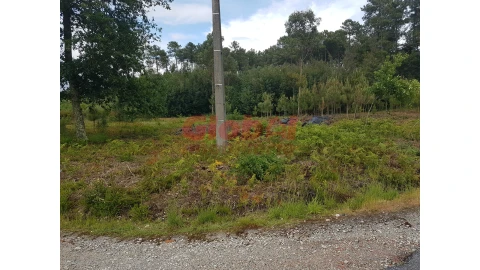 Terreno para Venda em Rio de Loba