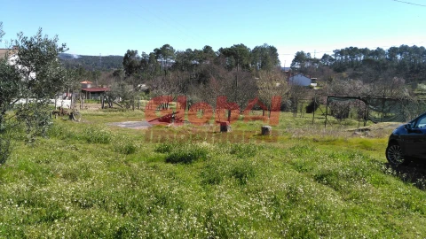 Terreno para Venda em Bodiosa
