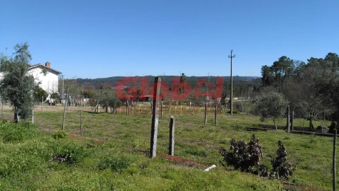 Terreno para Venda em Bodiosa