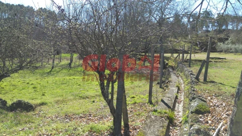 Terreno para Venda em Bodiosa