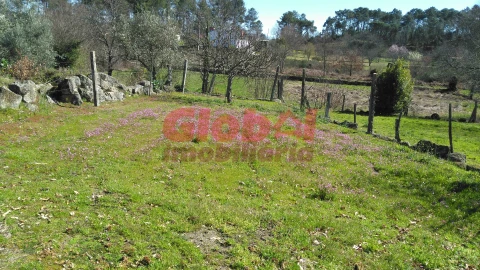 Terreno para Venda em Bodiosa