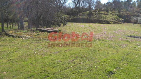 Terreno para Venda em Bodiosa