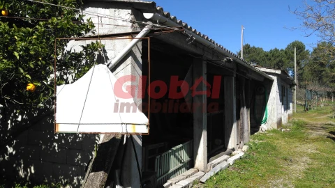 Terreno para Venda em Bodiosa