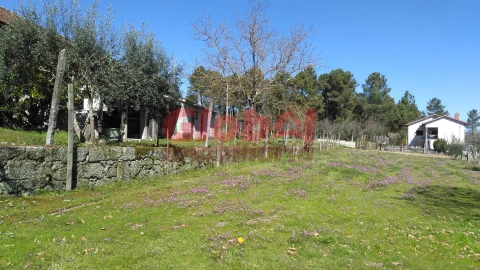 Terreno para Venda em Bodiosa