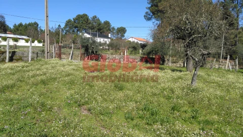 Terreno para Venda em Bodiosa