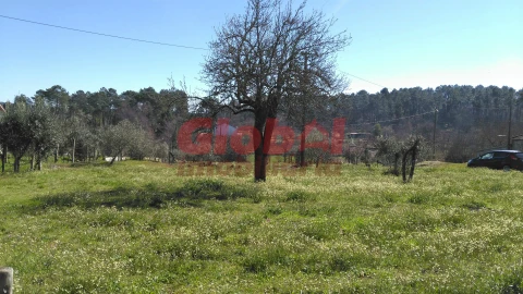 Terreno para Venda em Bodiosa