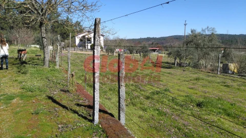 Terreno para Venda em Bodiosa