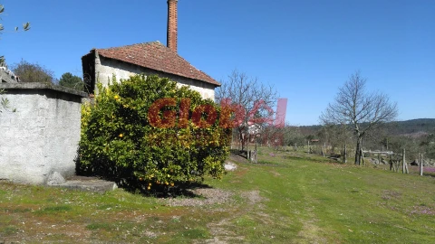 Terreno para Venda em Bodiosa