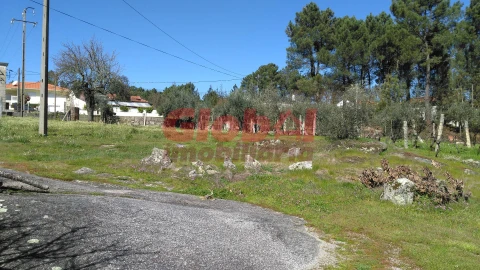 Terreno para Venda em Bodiosa