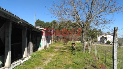Terreno para Venda em Bodiosa