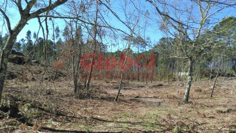 Terreno para Venda em Bodiosa