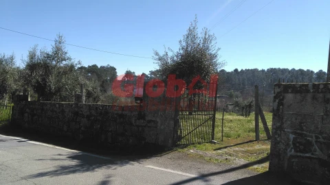 Terreno para Venda em Bodiosa