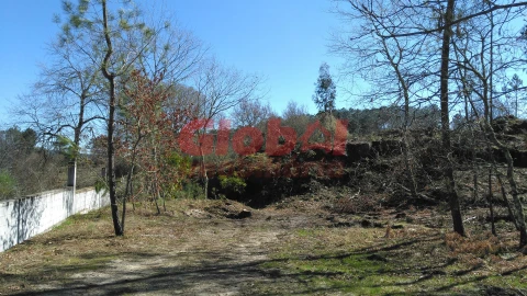 Terreno para Venda em Bodiosa